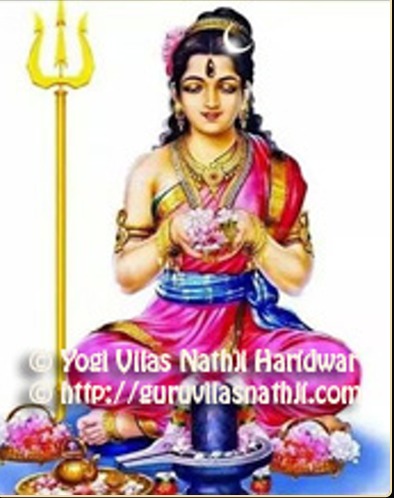 Yogini Bimal Nath Ji  (Bimlamata)