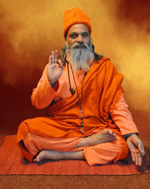 Yogi Vilas Nath Ji  Maharaj